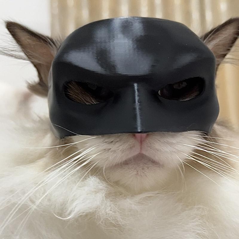 New Bat Cat Avenger Mask Bat Cat Avenger Mask Cat Mask Pet Supplies