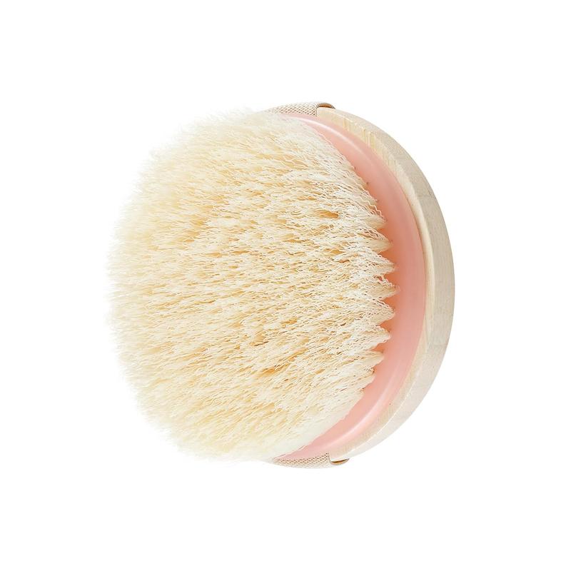 Dry Body Brush, for Post Shower & Bath Skincare Routine, Removes Dirt & Promotes Blood Circulation, Helps Reduce Appearance of Cellulite, Vegan & Cruelty-Free, 1 Count Accessories