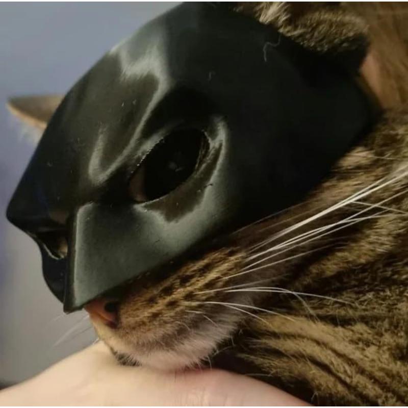 Batcat  3d Printing Bat Cat Avenger Mask Bat Cat Avenger Mask Cat Mask Pet Supplies