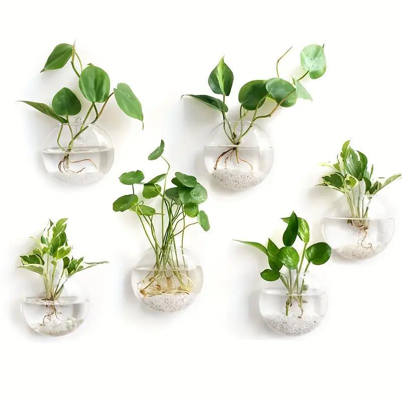 Wall Hanging Glass Terrarium, 2 Counts set Hydroponic Plant Vase, Wall Mounted Plant Pot for Living Room Bedroom Office Dormitory