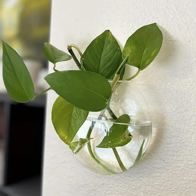 Wall Hanging Glass Terrarium, 2 Counts set Hydroponic Plant Vase, Wall Mounted Plant Pot for Living Room Bedroom Office Dormitory