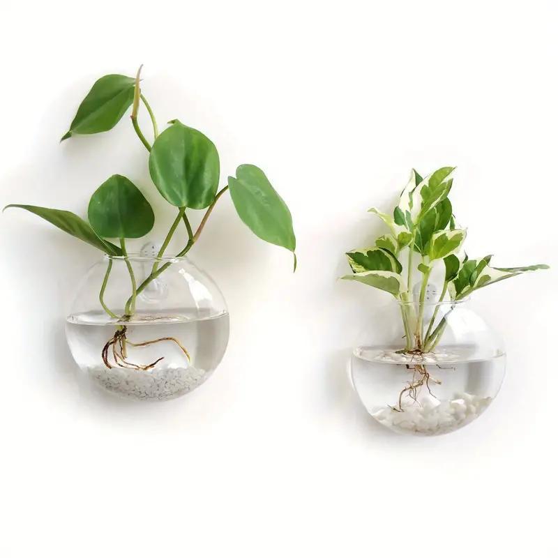 Wall Hanging Glass Terrarium, 2 Counts set Hydroponic Plant Vase, Wall Mounted Plant Pot for Living Room Bedroom Office Dormitory