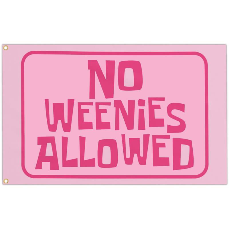 No Weenies Allowed Flag Tapestry Pink Funny Flags for Teen Girls Room Bedroom College Dorm Meme Flags Man Cave Wall Art Decor Banner Gifts for Outdoor Indoor Party Decorations