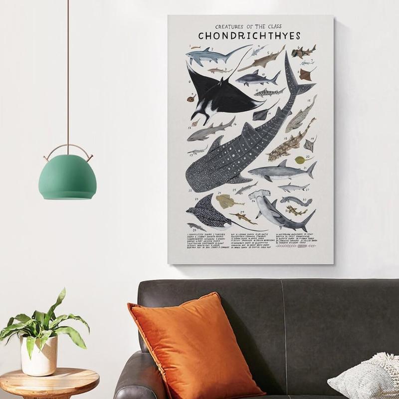 Shark Wall Art Animals Pictures Chondrichthyes Guide Poster Knowledge Prints Animals Fish Canvas Chart Poster Room Aesthetic for Home Classroom Office Bathroom Wall Decor Canvas Painting Wall Art Post