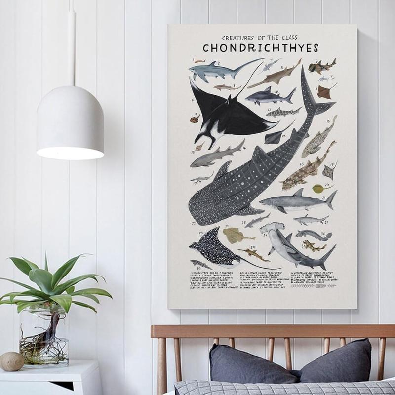 Shark Wall Art Animals Pictures Chondrichthyes Guide Poster Knowledge Prints Animals Fish Canvas Chart Poster Room Aesthetic for Home Classroom Office Bathroom Wall Decor Canvas Painting Wall Art Post