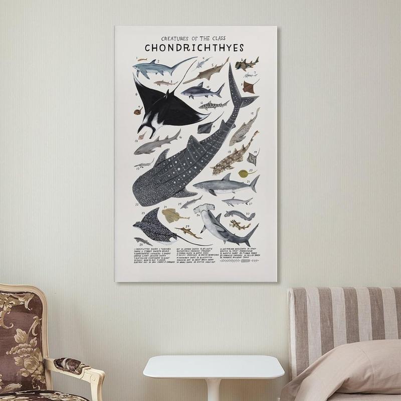 Shark Wall Art Animals Pictures Chondrichthyes Guide Poster Knowledge Prints Animals Fish Canvas Chart Poster Room Aesthetic for Home Classroom Office Bathroom Wall Decor Canvas Painting Wall Art Post