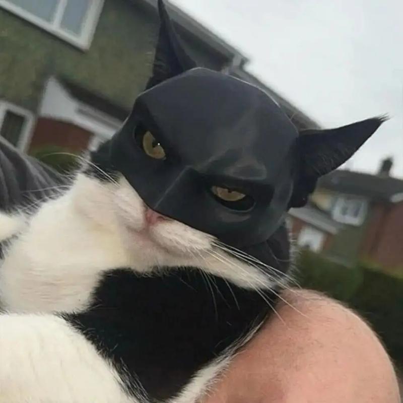 BatCat Cool Cat Mask Cat Superhero Mask Matte Cute Bat Mask Superhero Accessory for Kitties and Cats