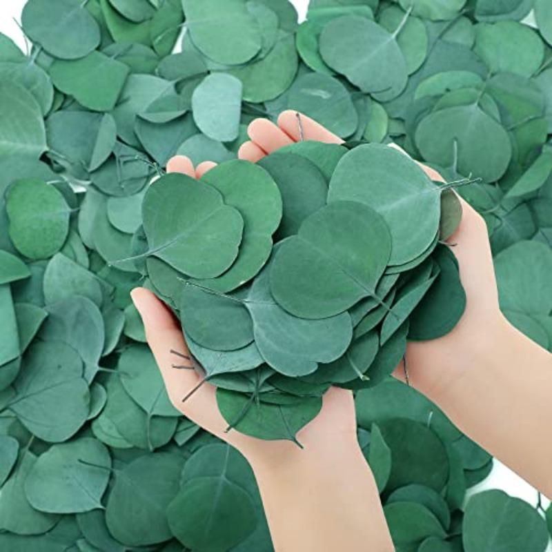 200pcs Real Eucalyptus Leaves for Shower Eucalyptus Leaves for Shower Fresh Shower Plants Preserved Petals Decoration Aisle Decoration Wedding Ceremony